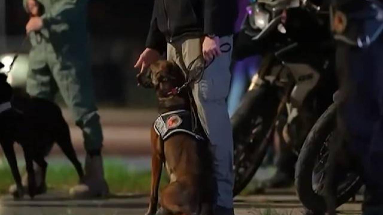 67 İlde Narkotik Operasyonu: 839 Şüpheli Yakalandı