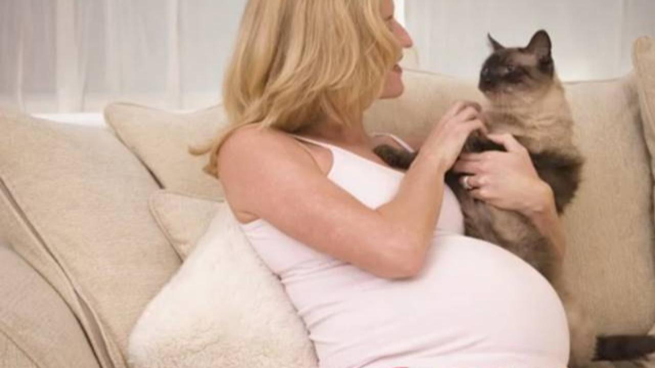 Anne Adaylarına Uyarı: Hijyen İhmal Edilirse Risk Büyük