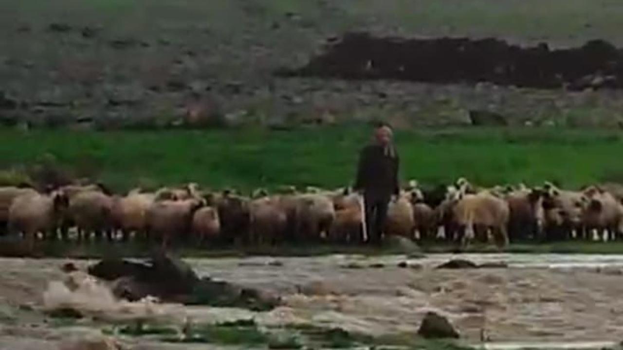 Derede Mahsur Kalan Çoban ve 40 Koyun Kurtarıldı