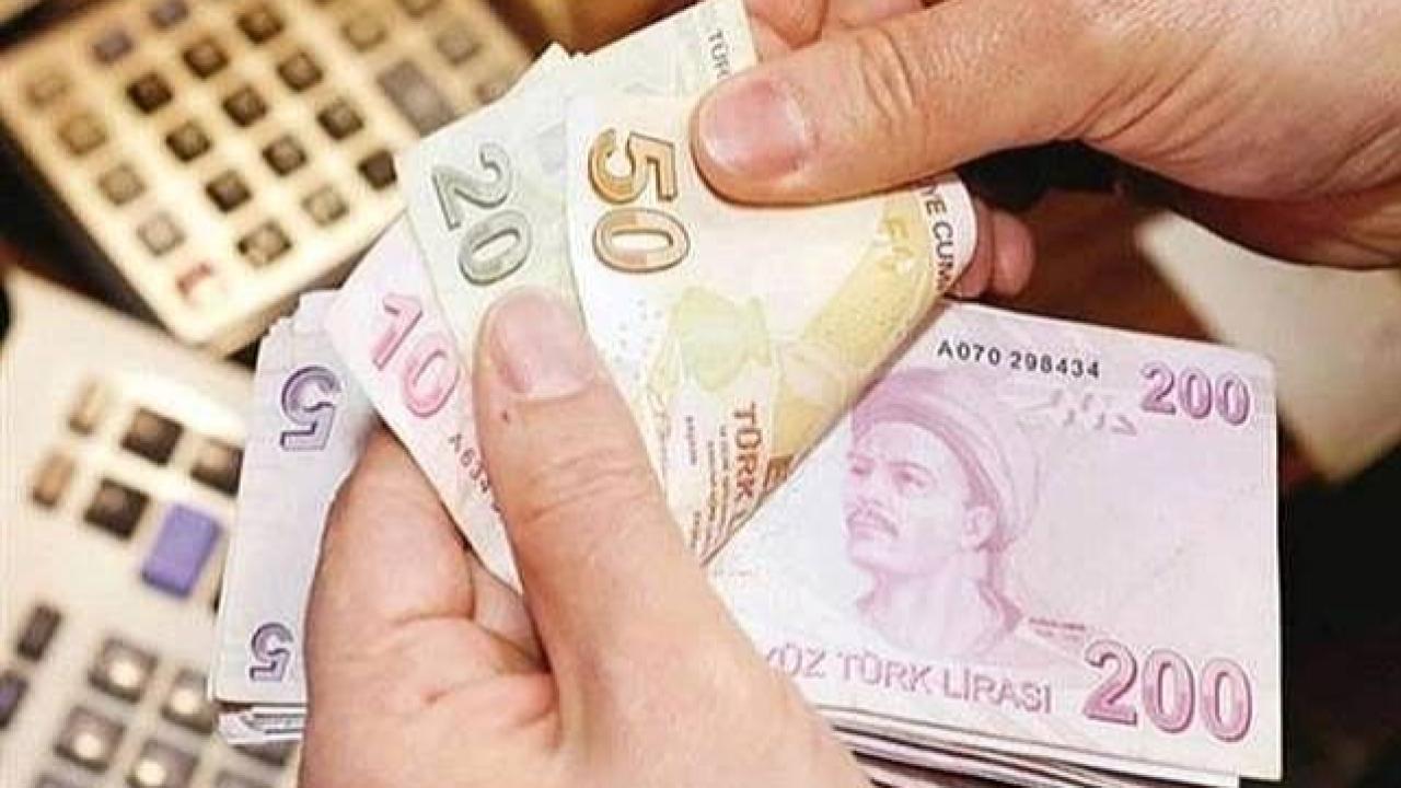 Engelli ve Eski Hükümlülere Hibe Desteği Başvuruları Başladı