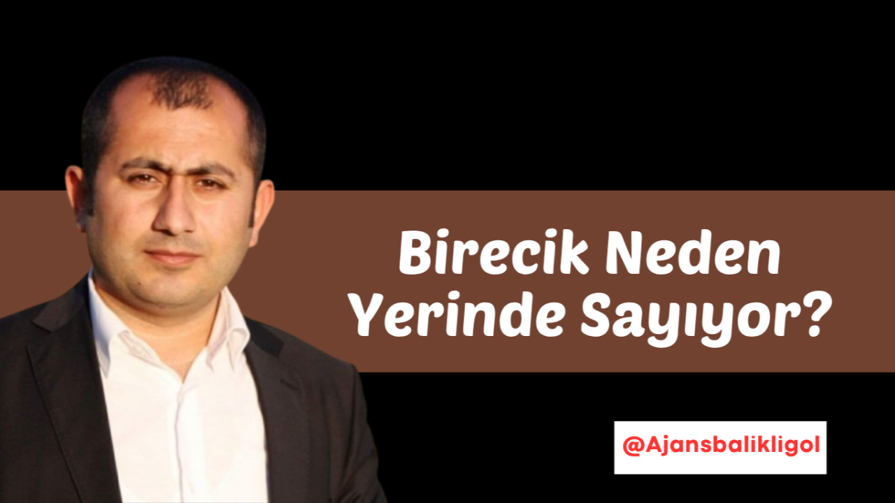 Fırat'ın Kıyısında Kaybolan Vizyon: Birecik Yerinde Sayıyor?