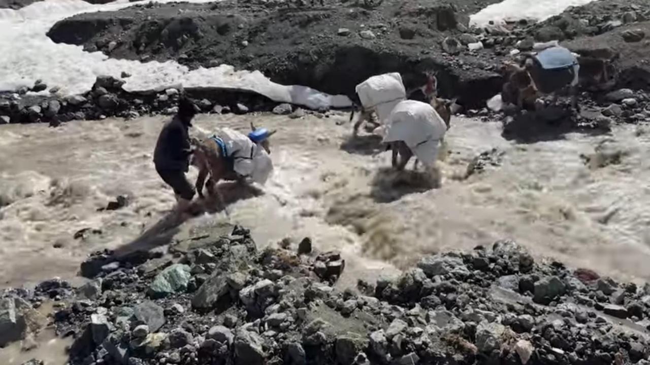 Göçerlerin Zorlu Yayla Yolculuğu Devam Ediyor