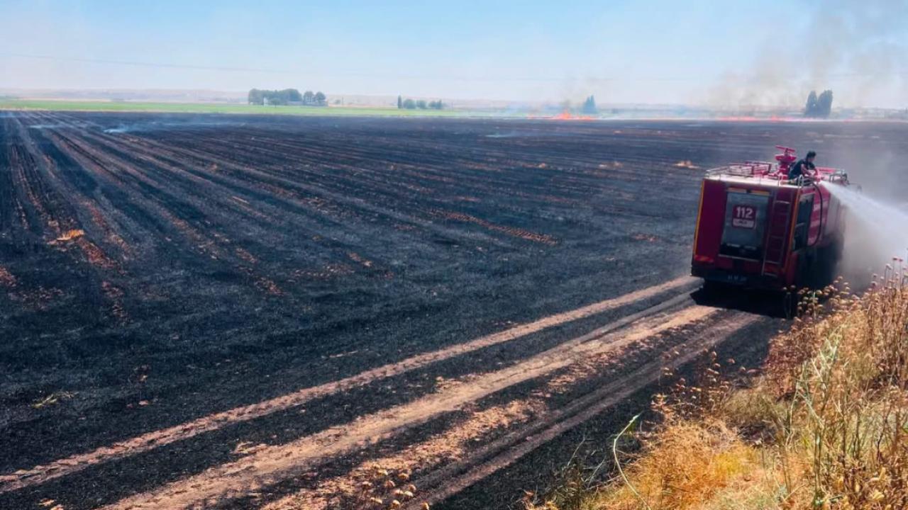Harran’da 500 Dönümlük Tarım Arazisinde Anız Yangını