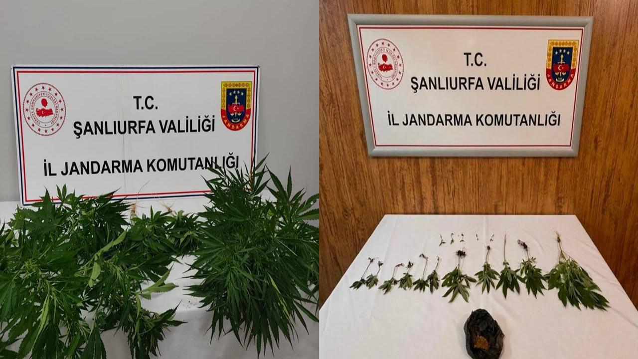 Hilvan ve Halfeti’de Uyuşturucu Operasyonu!