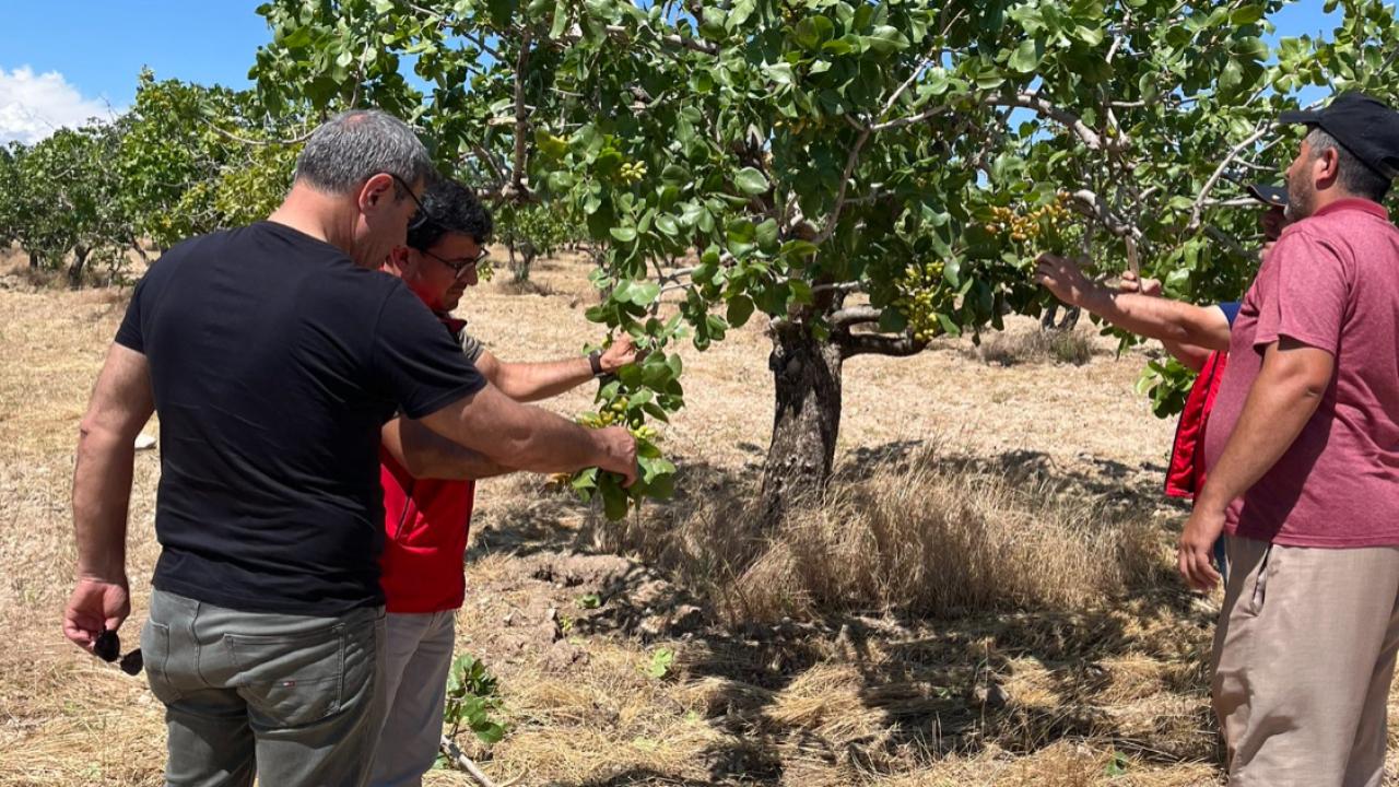 Hilvan’da Dolu ve Fırtına Hasarına Yerinde İnceleme