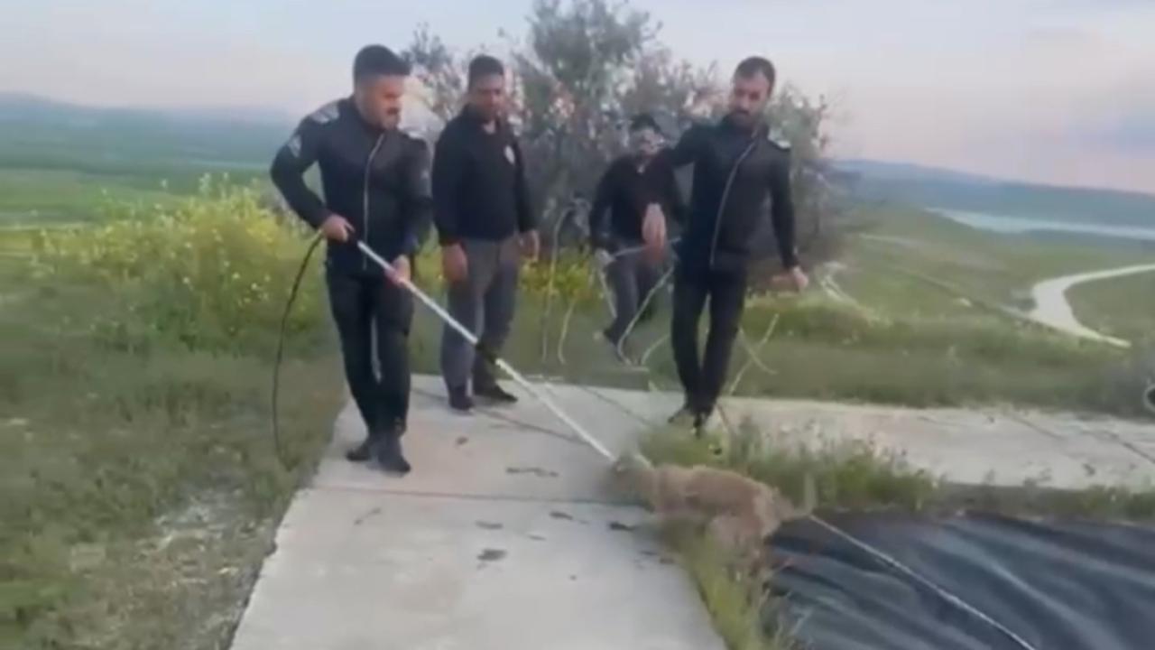 Hilvan’da Yürek Isıtan Kurtarma