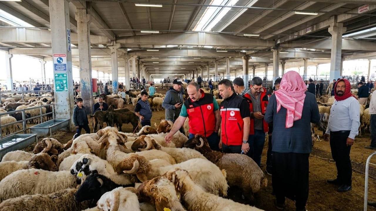 Kurban Bayramı Öncesi Kurbanlık Denetimleri Sıkılaştırıldı