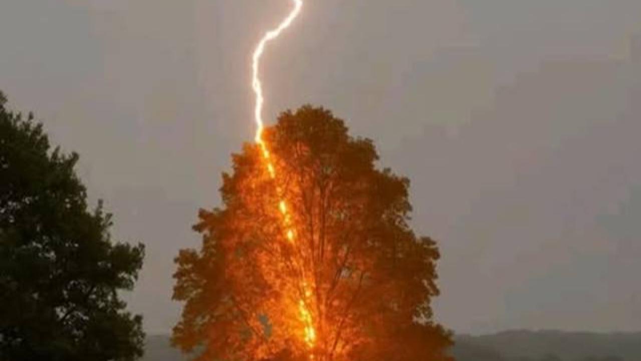 Okul Bahçesine Düşen Yıldırım İki Can Aldı!