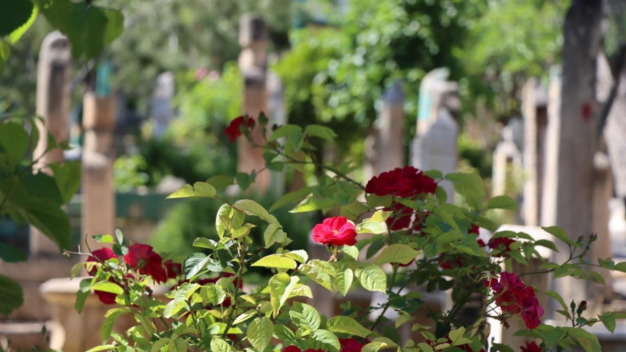 Urfa’da 3 Kişi Hayatını Kaybetti