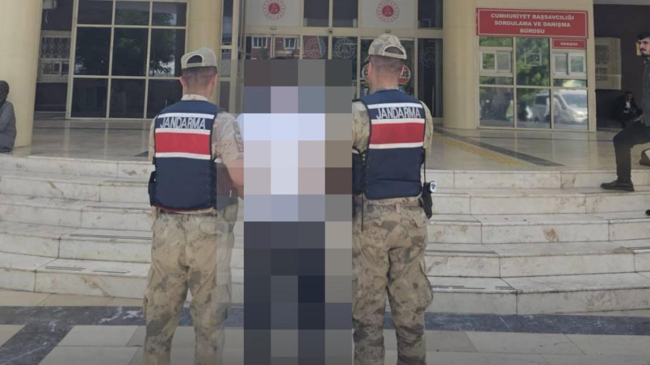 Şanlıurfa’da Aranan Hükümlü Jandarma Operasyonuyla Yakalandı