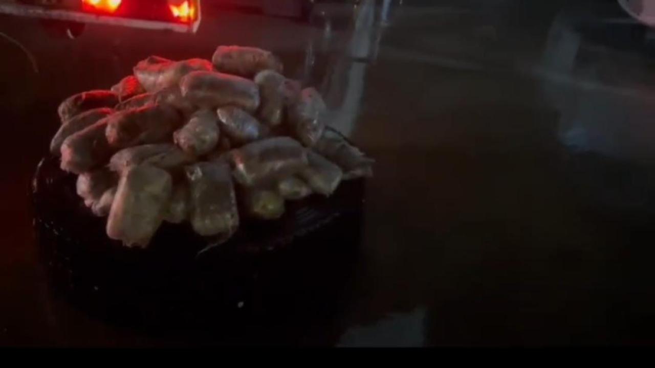 Şanlıurfa’da Narkotik Operasyonu: 17 Kilo 550 Gram Skunk Ele Geçirildi