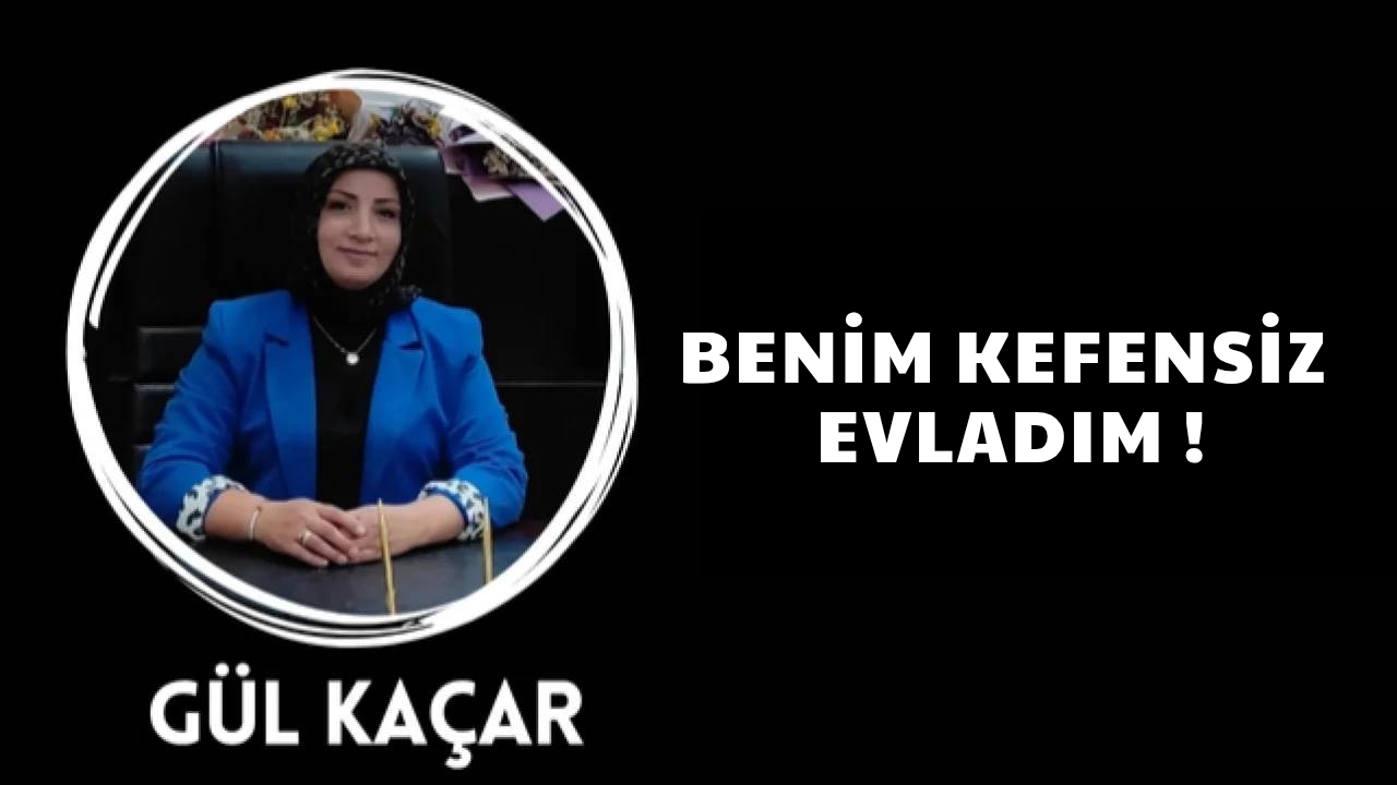 Sizin Hesap kütükleriniz, Benim Kefensiz Evladım!