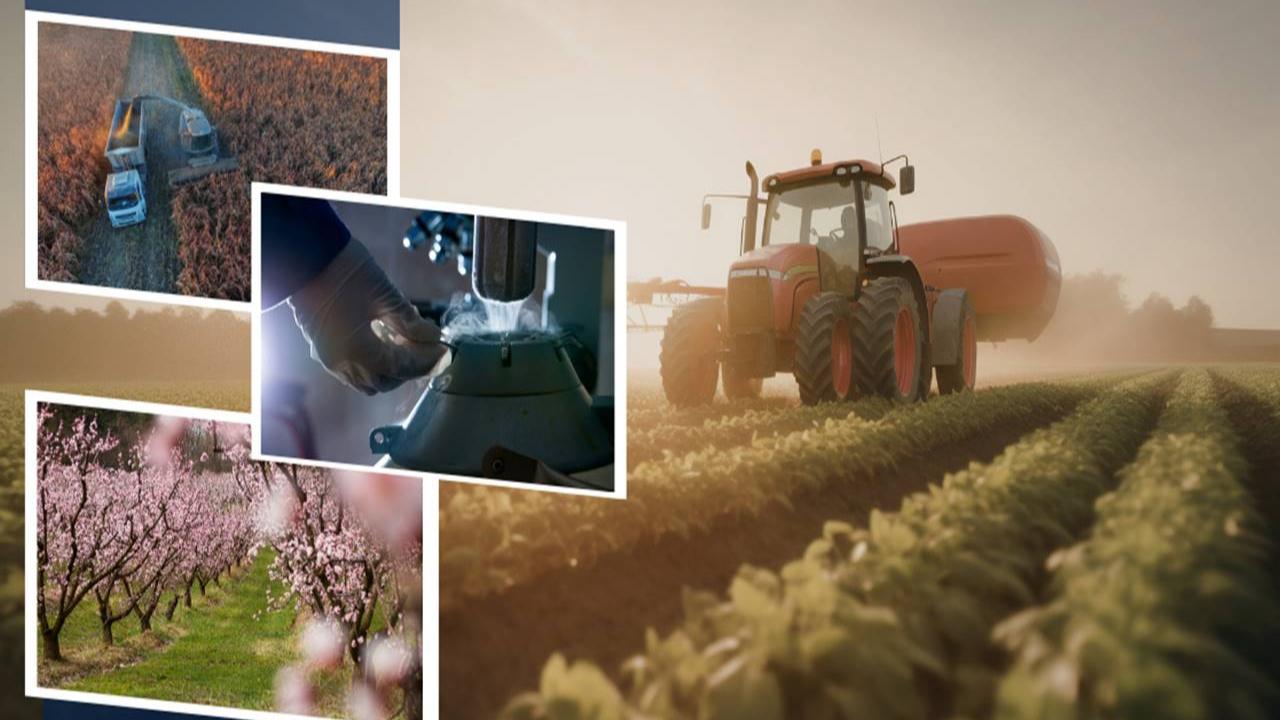 Tarımsal Destek Ödemesi Çiftçilerin Hesaplarına Aktarılıyor