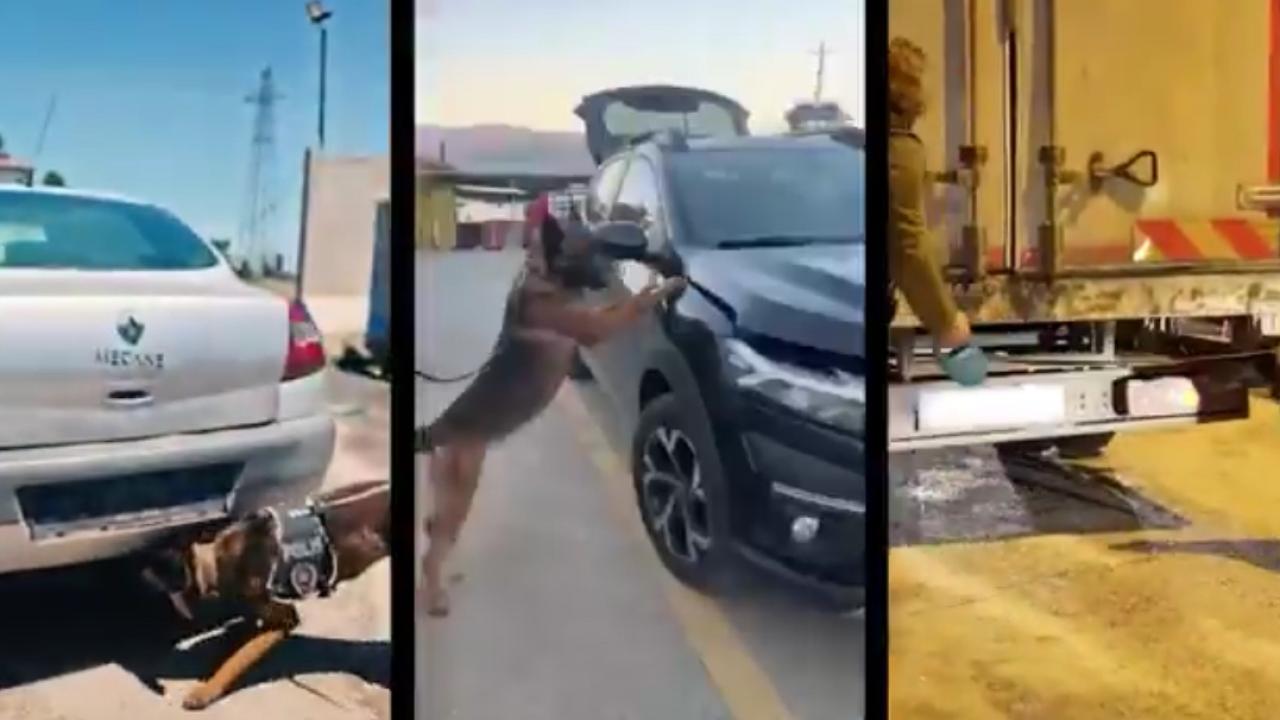 Urfa Dahil 76 İlde Dev Operasyon! Tonlarca Madde Ele Geçirildi