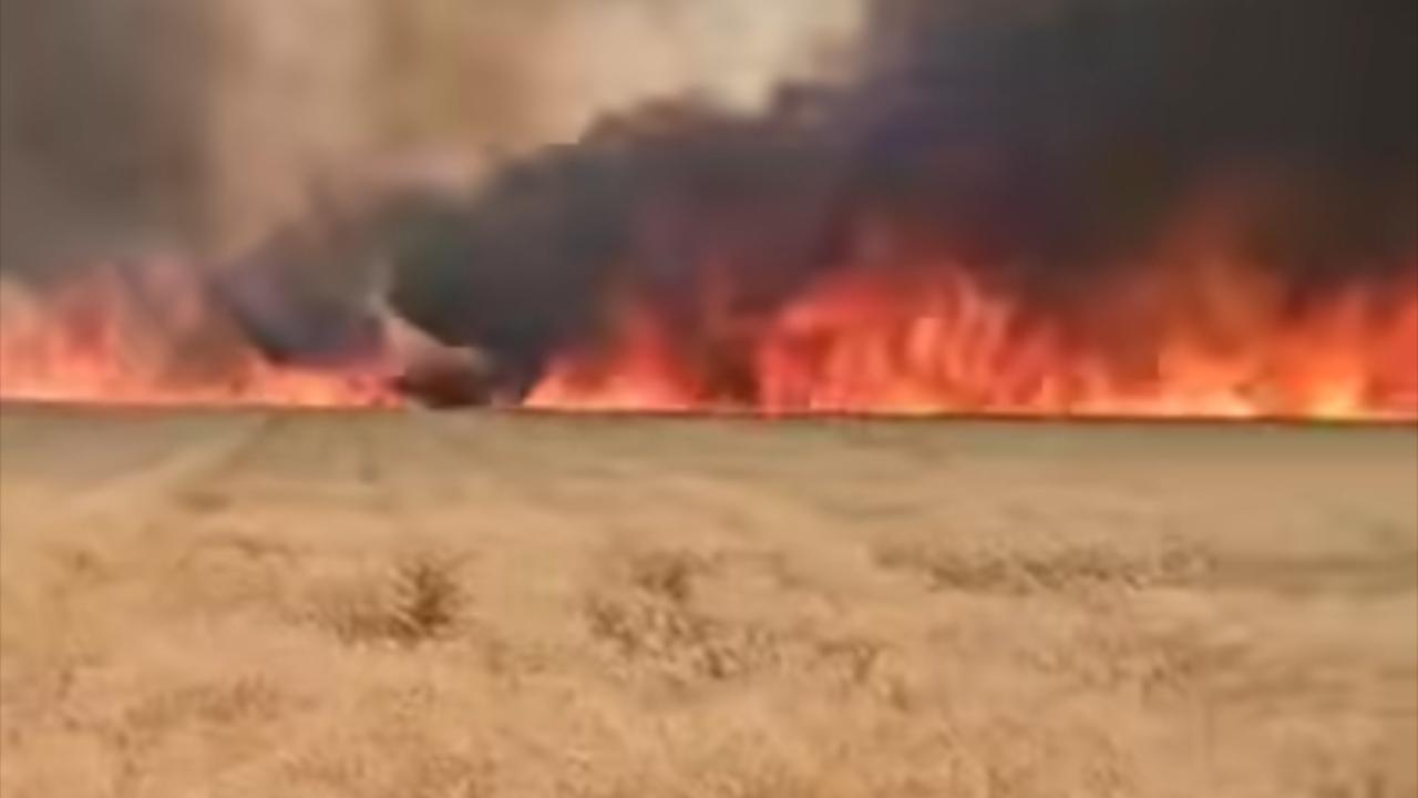 Urfa’da 300 Dönümlük Buğday Tarlasında Korkutan Yangın!