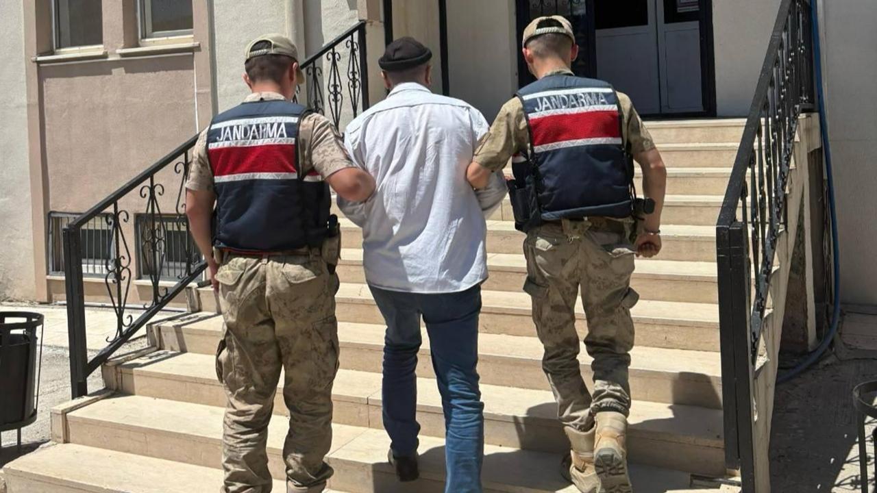 Urfa’da Aranan Şahıs  Jandarma Ekipleri Tarafından Yakalandı