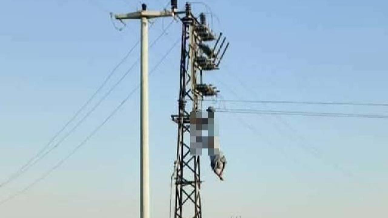 Urfa’da Bir İşçi Elektrik Direğinde Akıma Kapıldı!