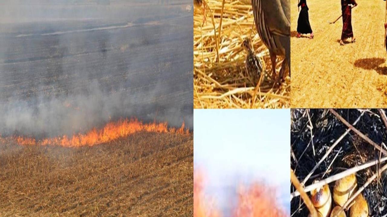 Urfa’da Kavurucu Sıcaklar Felaket Tehlikesini Artırıyor